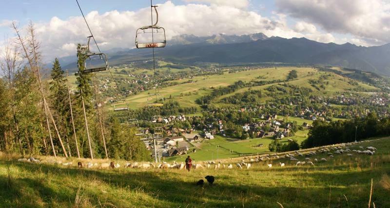 Апартаменты Zakopane - Harenda 13E Экстерьер фото