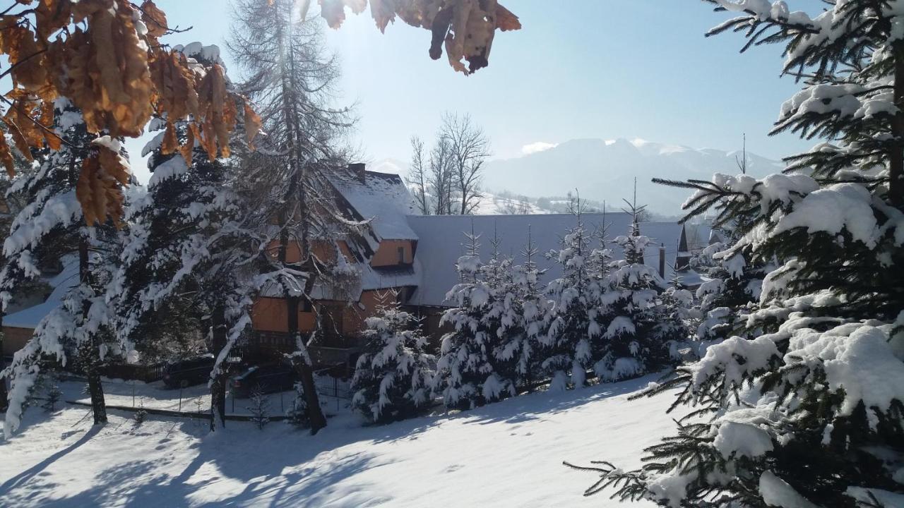 Апартаменты Zakopane - Harenda 13E Экстерьер фото